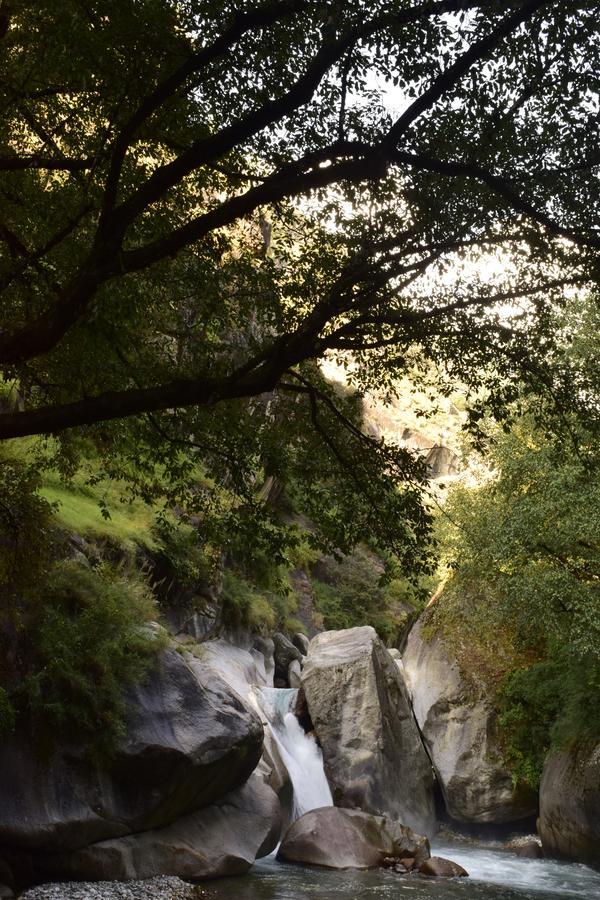 Offbeat Abodes - Tirthan Valley Banjar Bagian luar foto